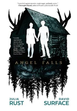 Knjiga Angel Falls David Surface