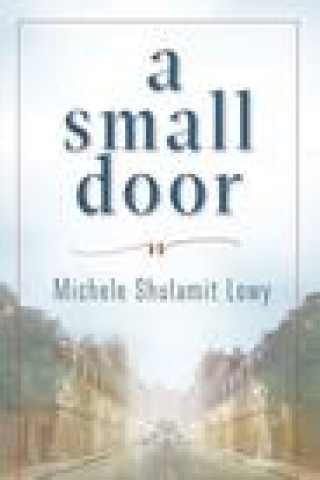 Book A Small Door Michele S Lowy