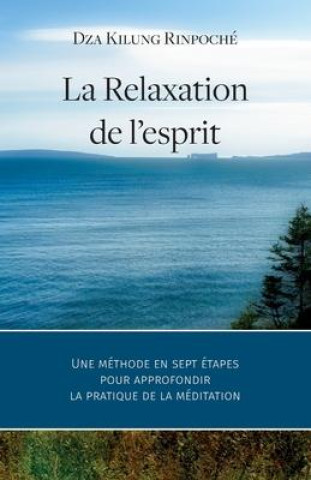 Kniha La Relaxation de l'esprit: Une méthode en sept étapes pour approfondir la pratique de la méditation Vincent Thibault