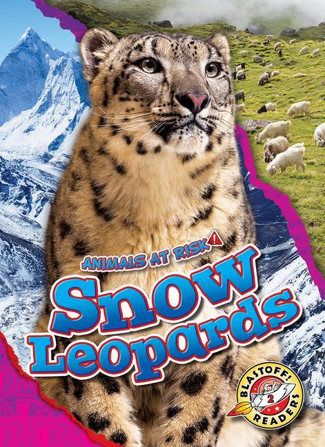 Książka Snow Leopards 