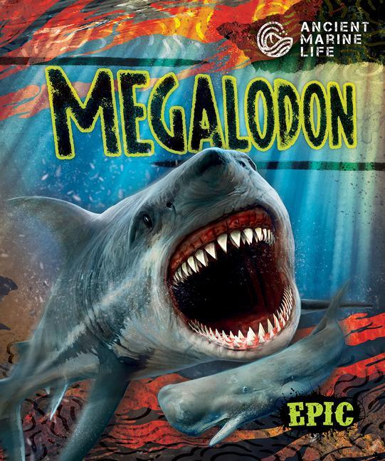 Kniha Megalodon Mat Edwards