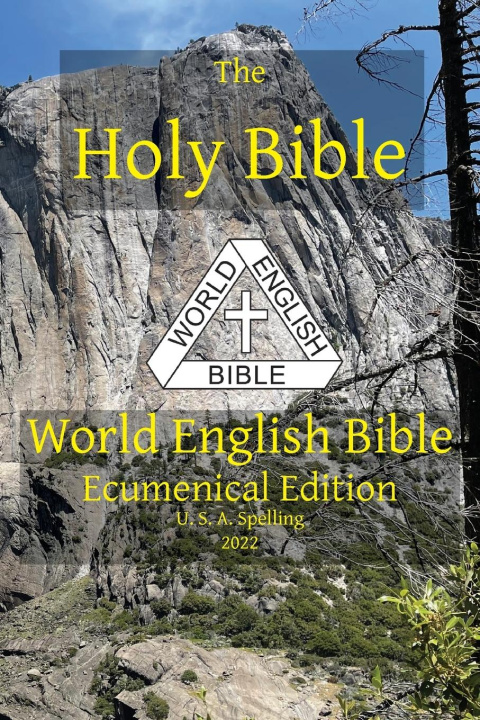 Carte The Holy Bible 