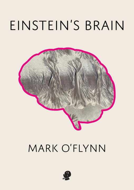 Buch Einstein's Brain Mark O'Flynn