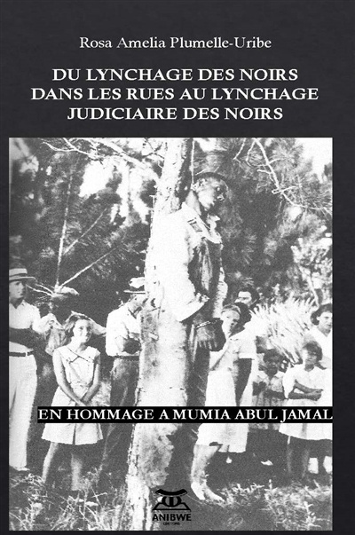 Kniha Du lynchage des noirs dans les rues au lynchage judiciaire des noirs 