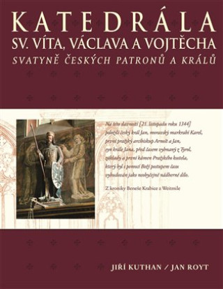 Könyv Katedrála sv. Víta, Václava a Vojtěcha Jan Royt