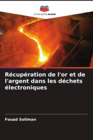 Knjiga Récupération de l'or et de l'argent dans les déchets électroniques Hoda Ashry