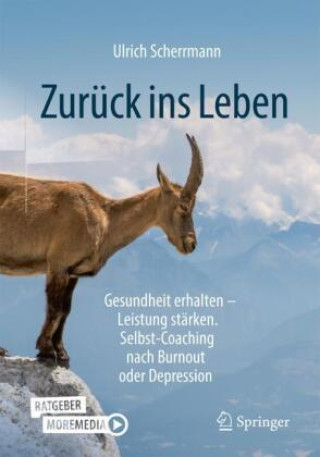 Könyv Zurück ins Leben Ulrich Scherrmann