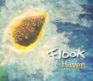 Audio Haven Flook