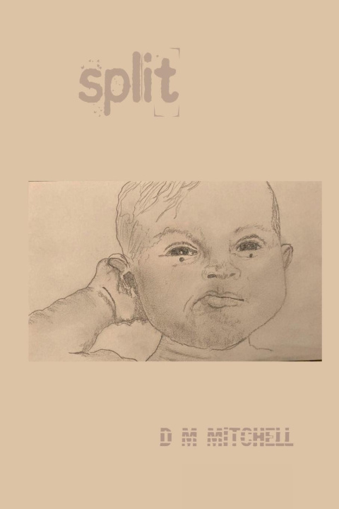 Kniha SPLIT ! D M Mitchell