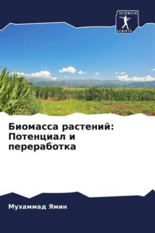 Buch Biomassa rastenij: Potencial i pererabotka Muhammad Yamin