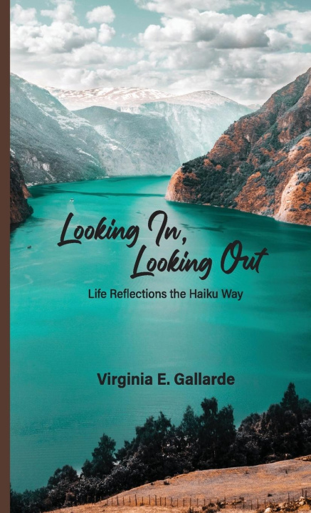 Knjiga Looking In, Looking Out Virginia Gallarde