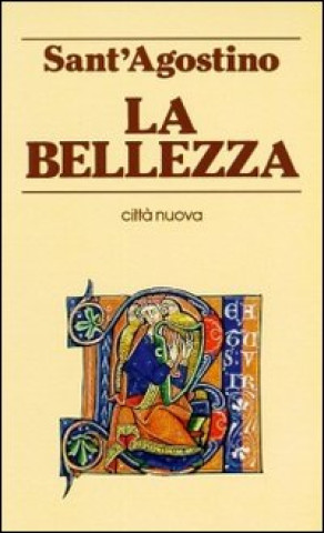 Kniha bellezza Agostino (sant')