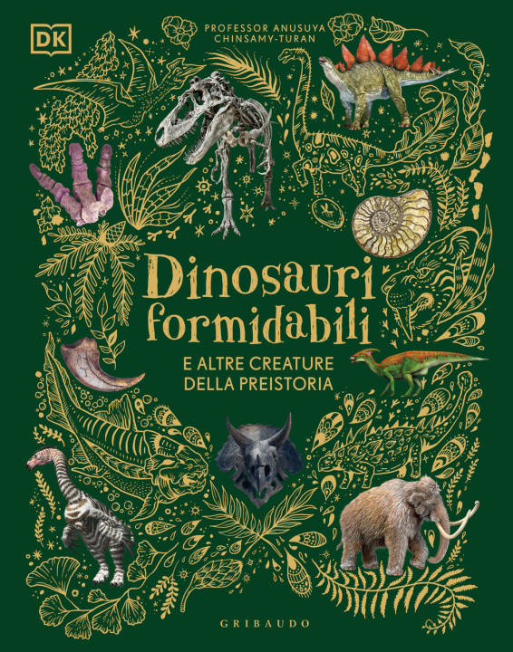 Kniha Dinosauri formidabili e altre creature della preistoria 