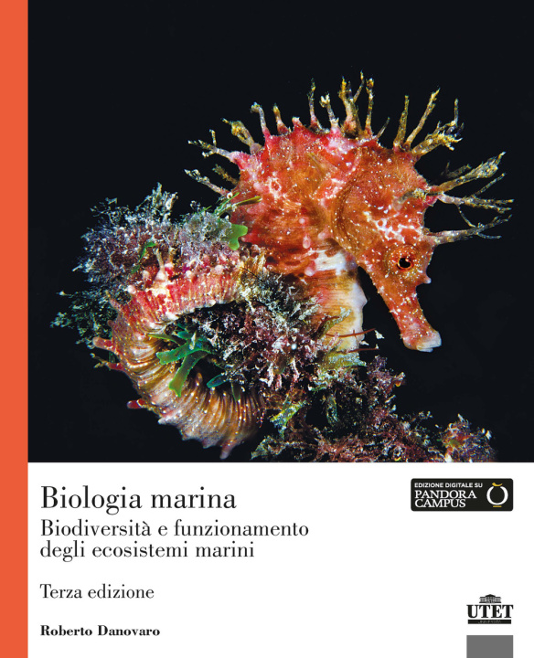 Buch Biologia marina. Biodiversità e funzionamento degli ecosistemi marini Roberto Danovaro