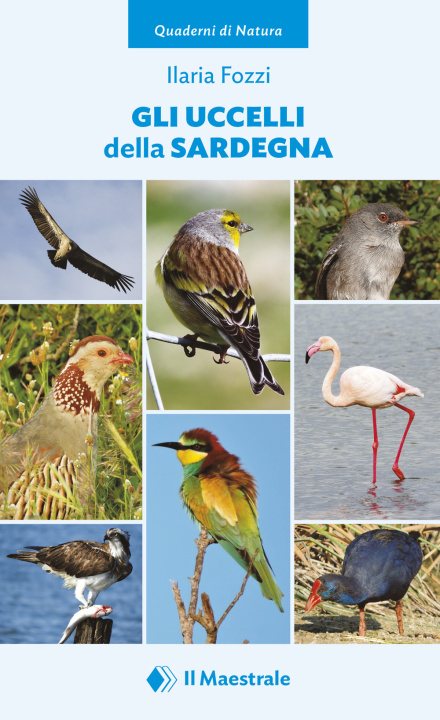 Kniha uccelli della Sardegna Ilaria Fozzi