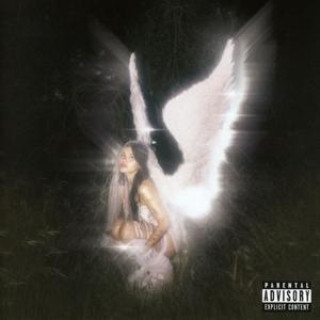Audio Young Forever Barrett Nessa