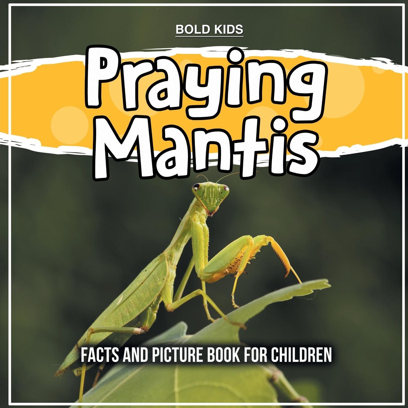 Kniha Praying Mantis 