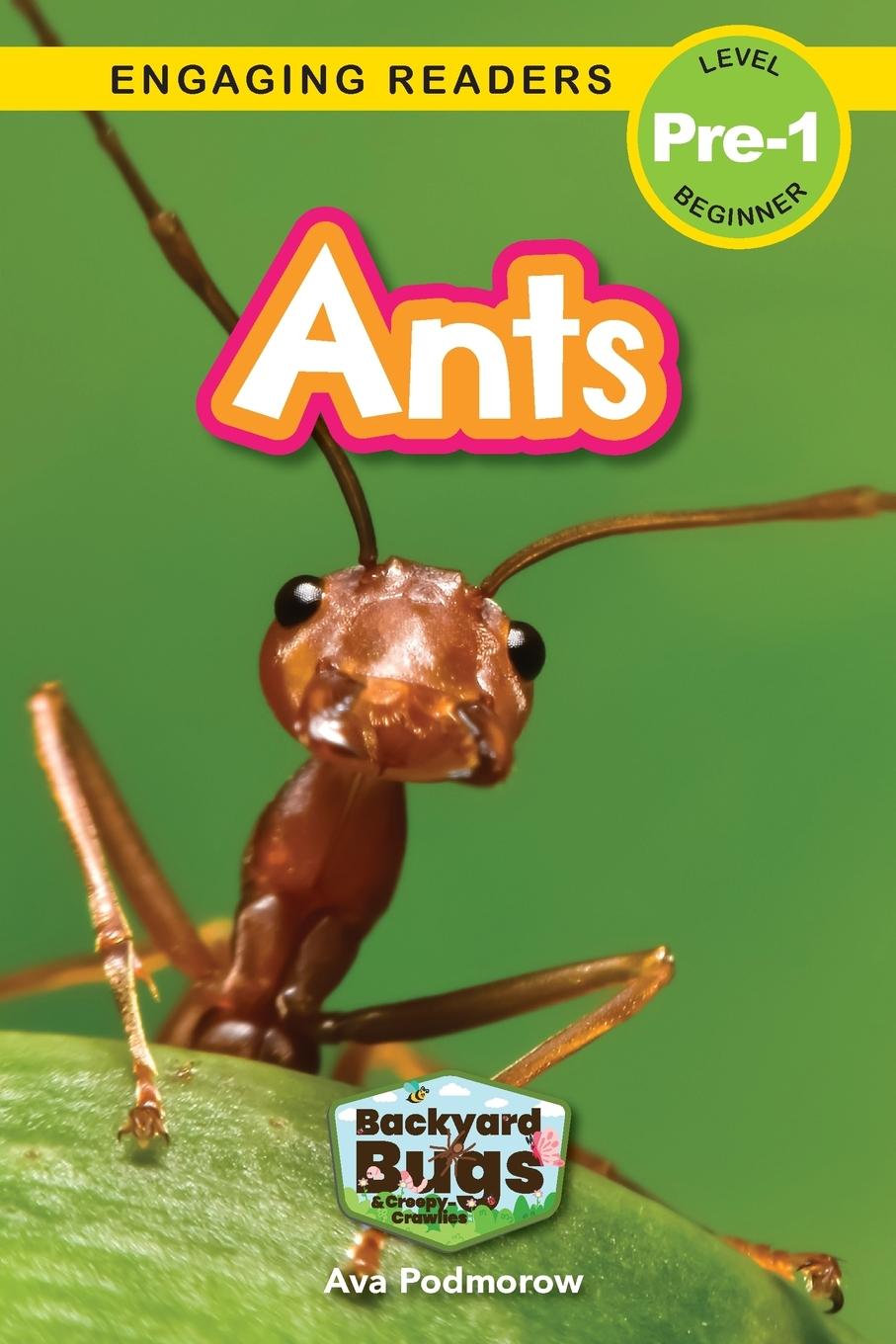 Buch Ants Sarah Harvey