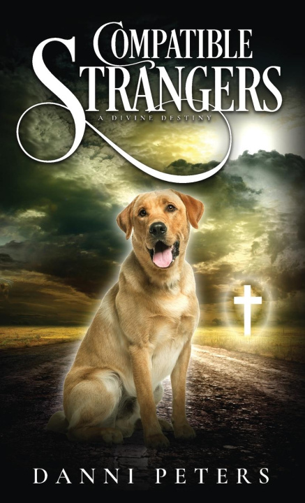 Book Compatible Strangers Danni Peters
