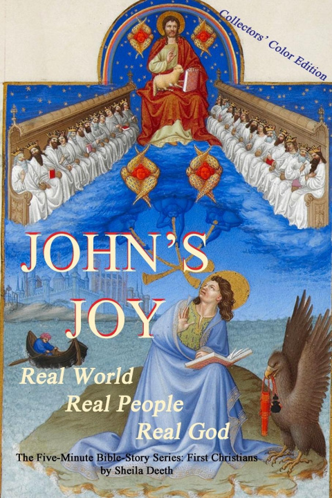 Knjiga John's Joy Sheila Deeth