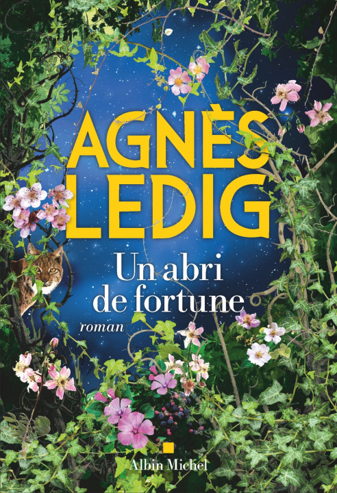 Книга Un abri de fortune Agnès Ledig