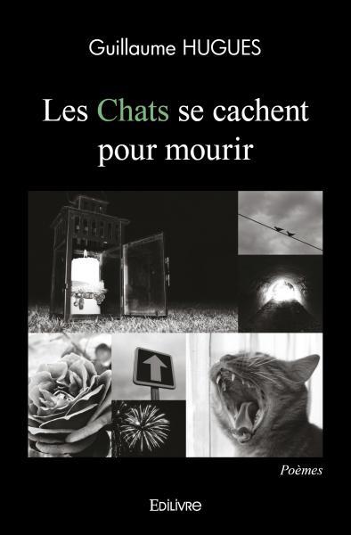 Książka Les chats se cachent pour mourir Guillaume HUGUES