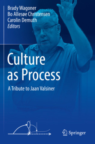 Boek Culture as Process Brady Wagoner