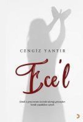 Knjiga Ecel 
