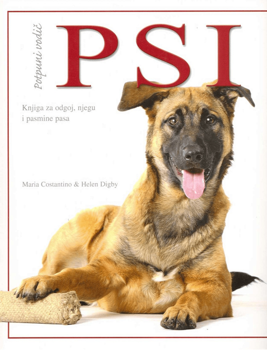 Livro Psi - potpuni vodič Maria Constantino