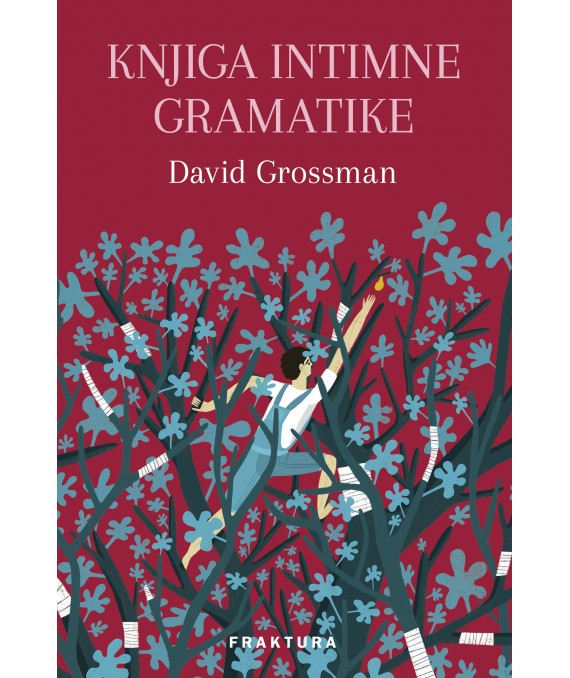 Kniha Knjiga intimne gramatike David Grossman