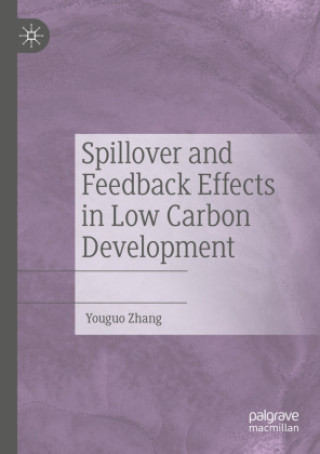 Livro Spillover and Feedback Effects in Low Carbon Development Youguo Zhang