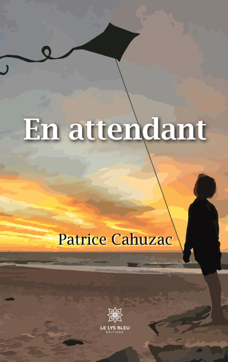 Knjiga En attendant Patrice Cahuzac
