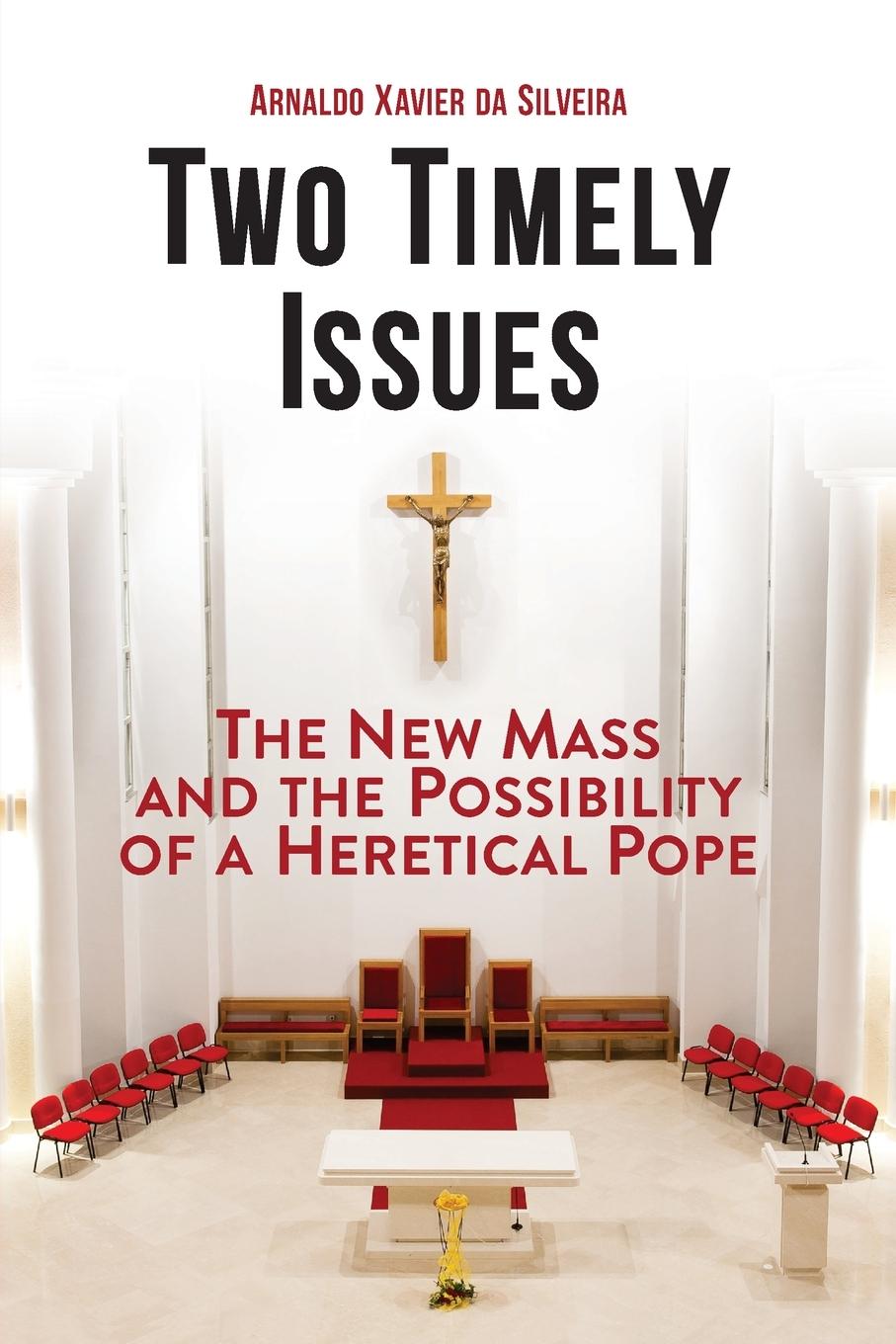Knjiga Two Timely Issues Arnaldo Xavier da Silveira