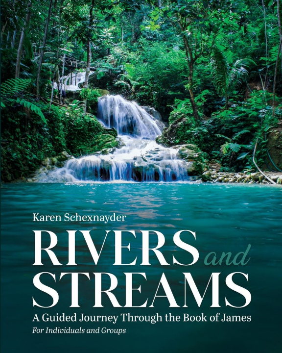 Livro Rivers and Streams Karen Schexnayder
