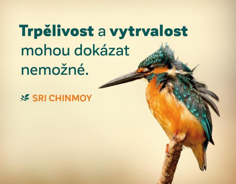 Libro Magnet na lednici "Trpělivost a vytrvalost" 