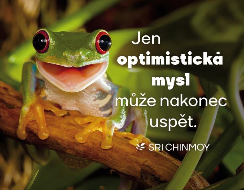 Kniha Magnet na lednici "Jen optimistická mysl může nakonec uspět" 