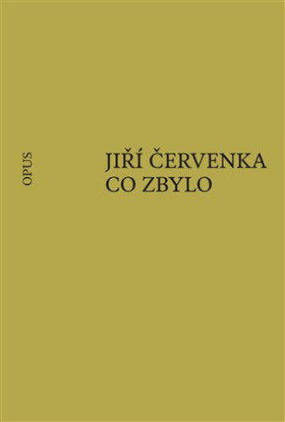 Könyv Co zbylo Jiří Červenka