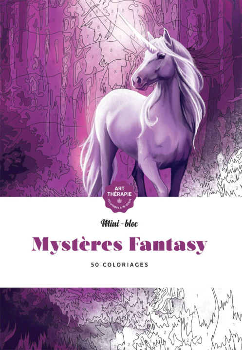 Kniha Mystères Fantasy NED 