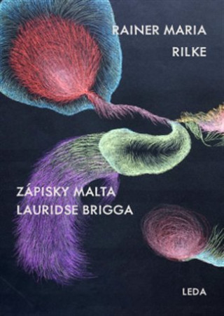 Book Zápisky Malta Lauridse Brigga Rainer Maria Rilke