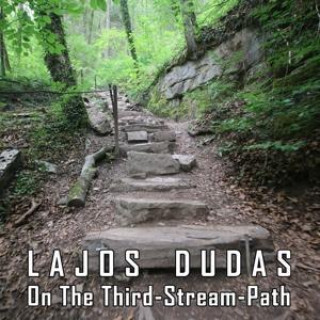 Zvok On The Third-Stream Path 