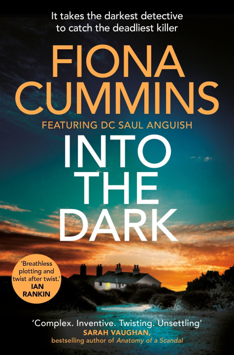 Buch Into the Dark Fiona Cummins