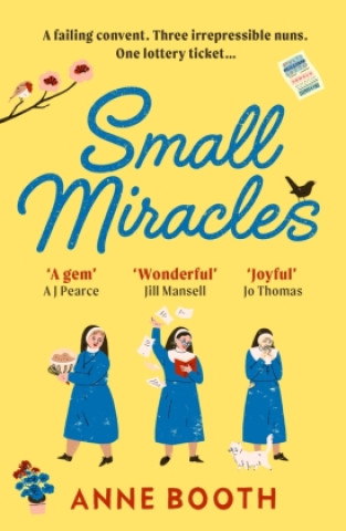 Kniha Small Miracles Anne Booth