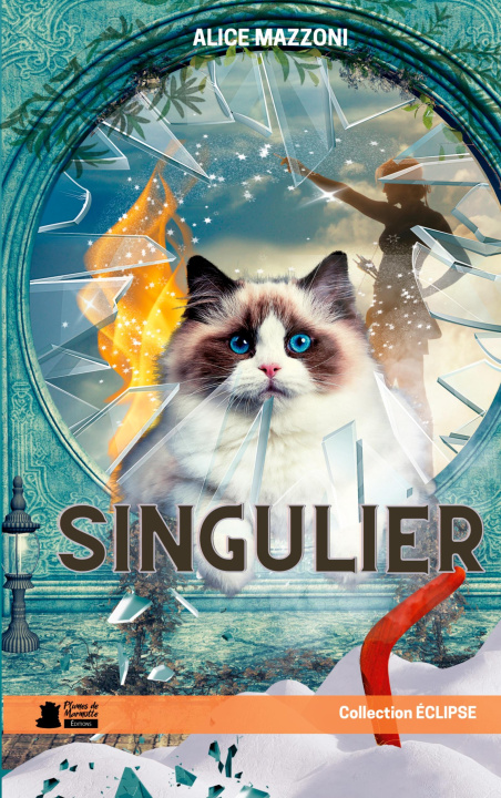 Knjiga Singulier Plumes de Marmotte Editions
