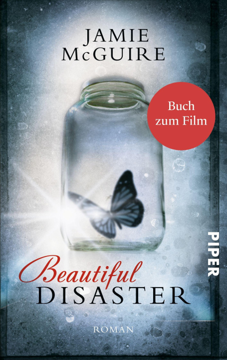 Kniha Beautiful Disaster Henriette Zeltner-Shane