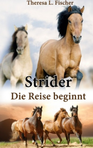 Knjiga Strider 
