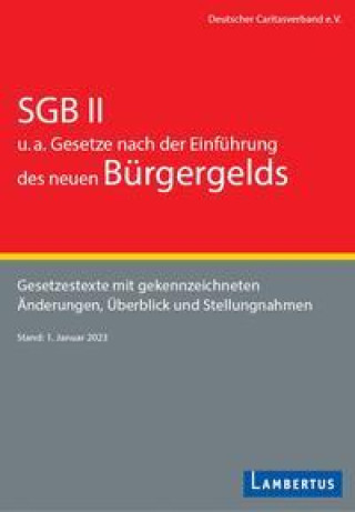 Kniha SGB II u.a. Gesetze nach der Einführung des neuen Bürgergelds 