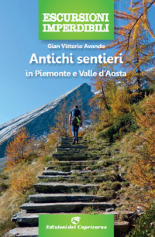 Kniha Antichi sentieri in Piemonte e Valle d'Aosta Gian Vittorio Avondo