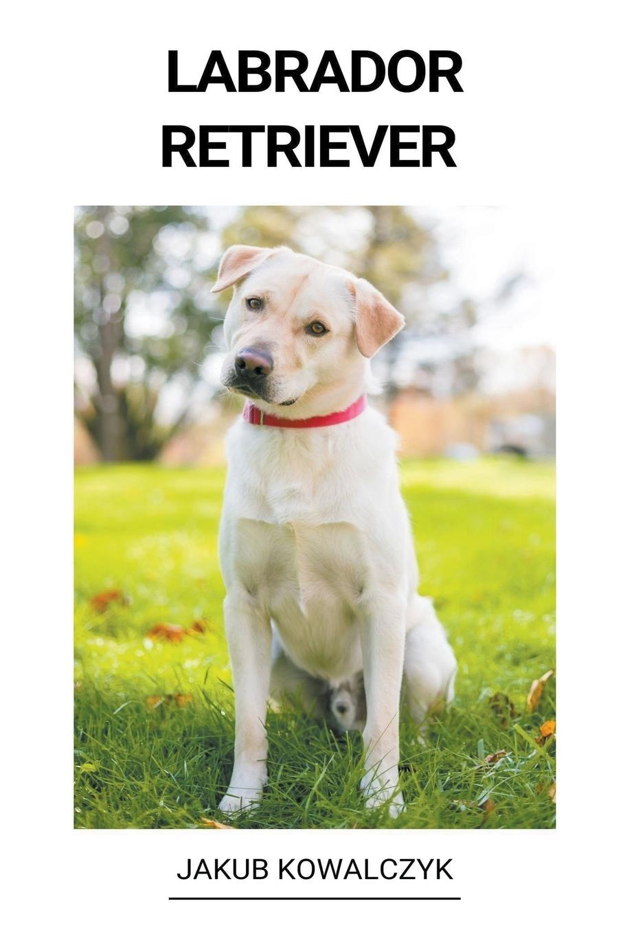 Kniha Labrador Retriever 
