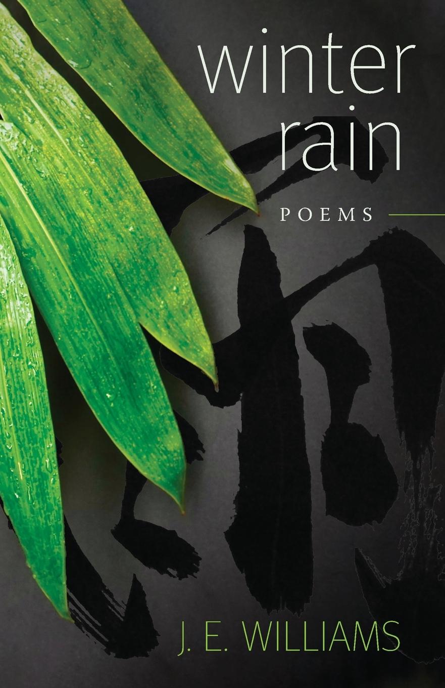 Kniha Winter Rain J.E. Williams