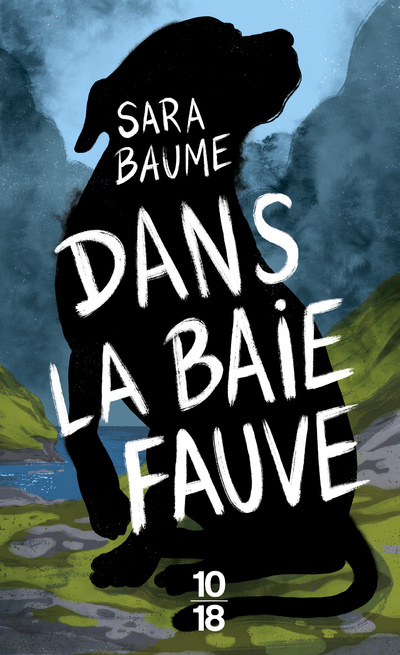 Kniha Dans la baie fauve Sara Baume